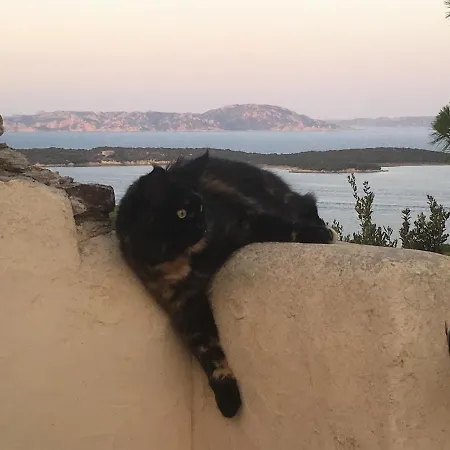 House With Amazing View Conca Verde