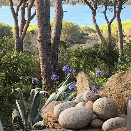 House With Amazing View