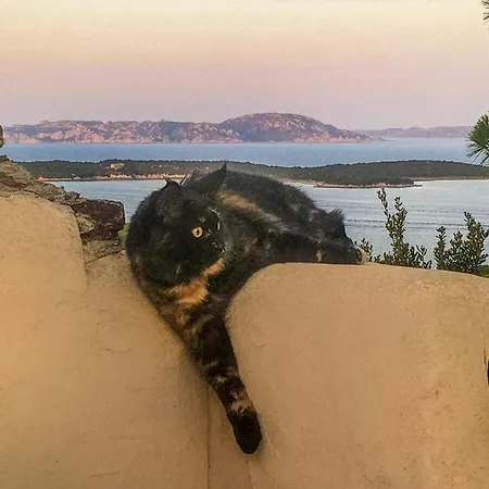 Nyaraló House With Amazing View